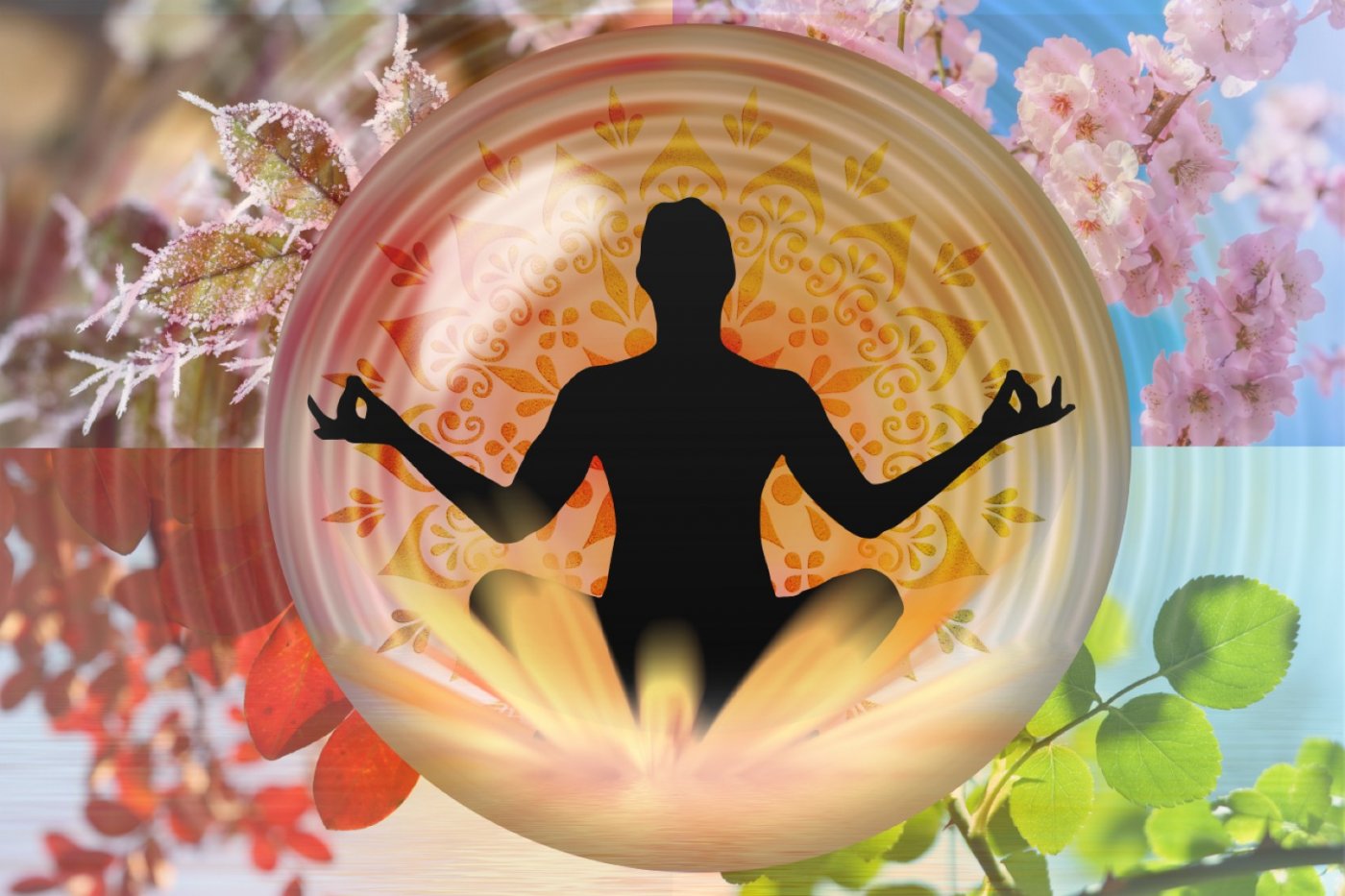 PUDSEY HEALTH & HEALING FESTIVAL 18 & 19 July 2026
