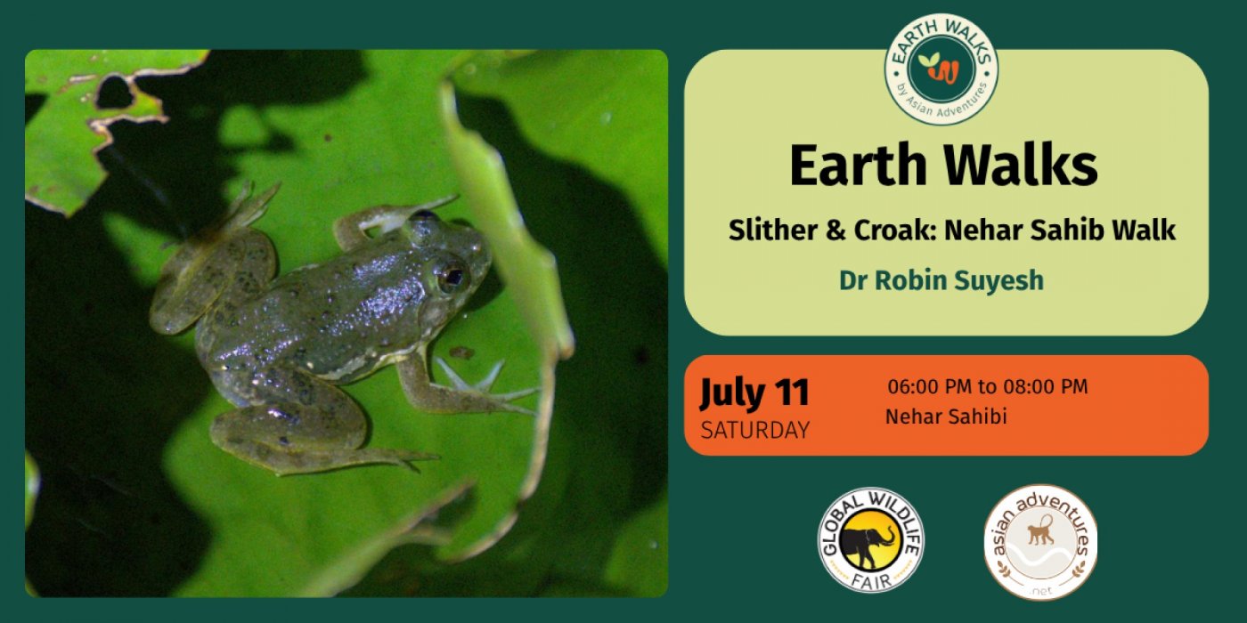Slither & Croak: Nehar Sahib Walk