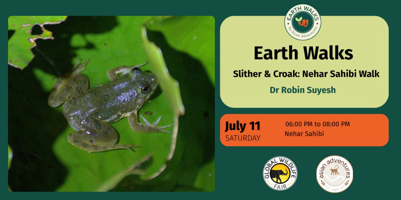 Slither & Croak: Nehar Sahibi Walk