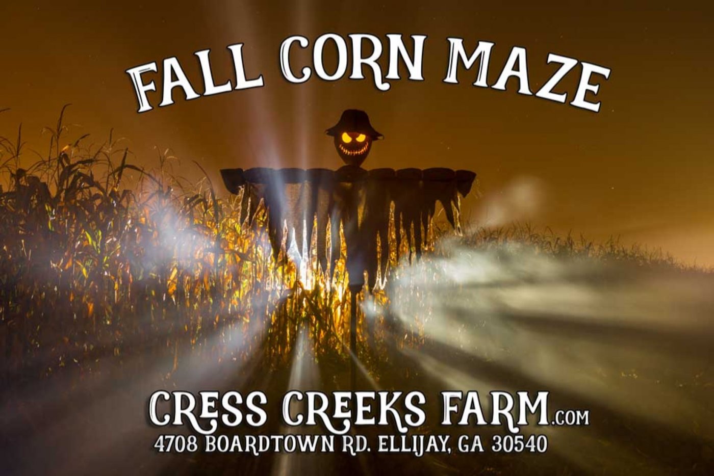 WICKED HARVEST ADULT COSTUME PARTY