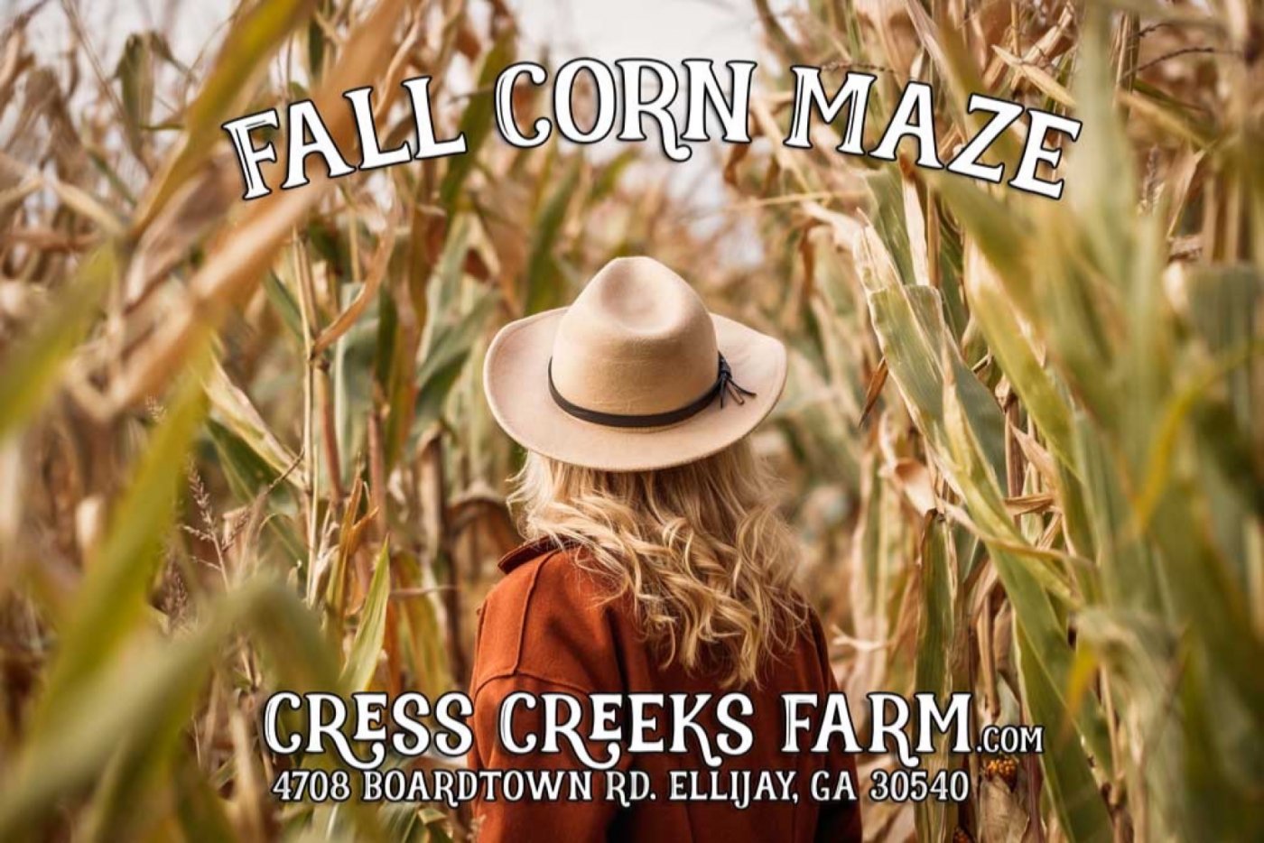 Ellijay Fall corn maze