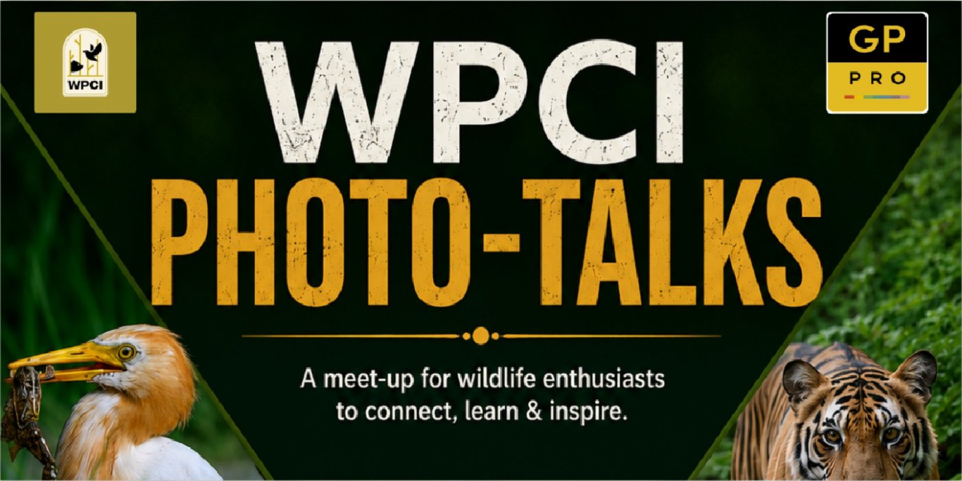WPCI Photo Talks