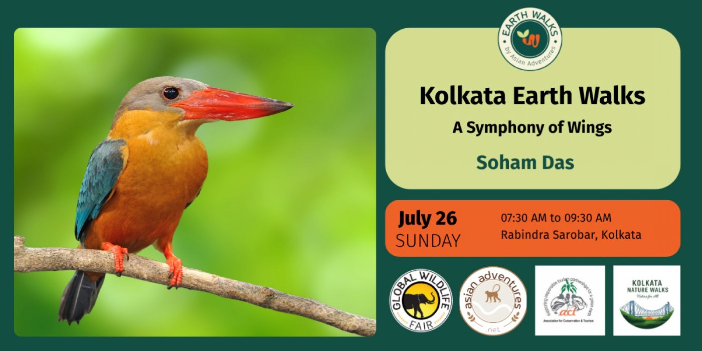 A Symphony of Wings of Rabindra Sarovar