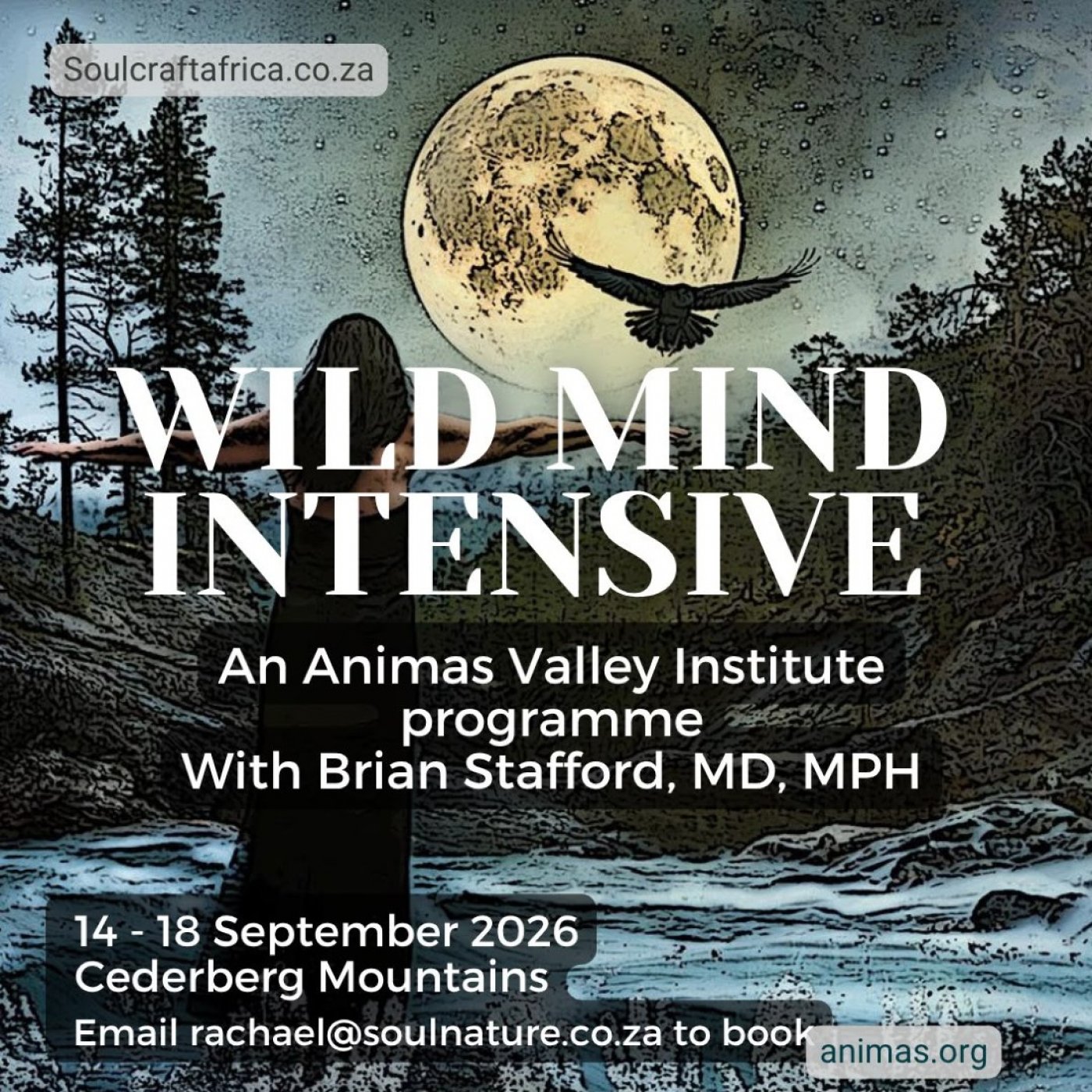 WildMind Intensive