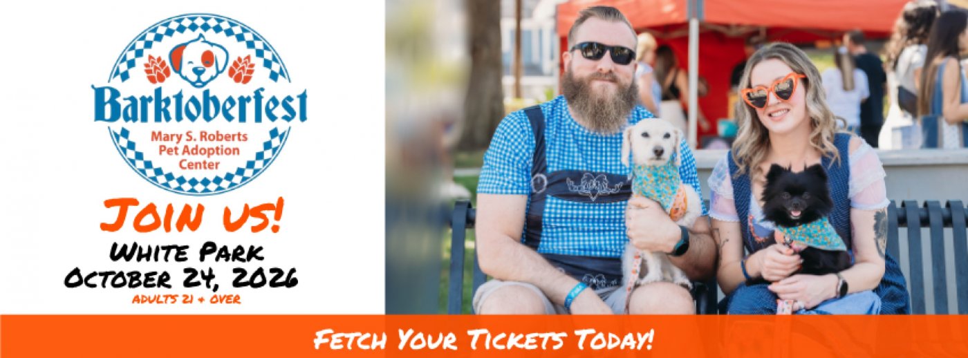 Barktoberfest 2026 – Riversides Pet-Friendly Beer Festival, White Park ...