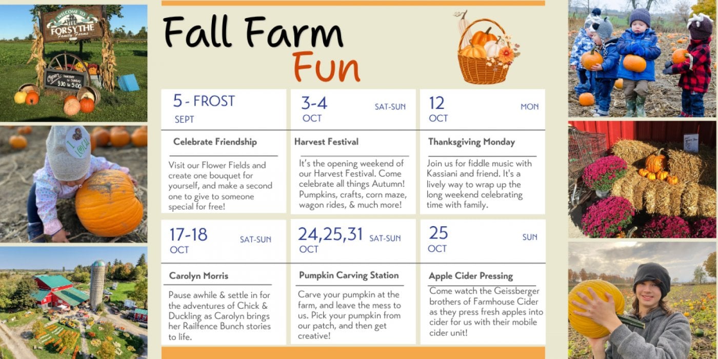 Pumpkin Festival at Forsythe Family Farms, Forsythe Family Farms 2009 ...