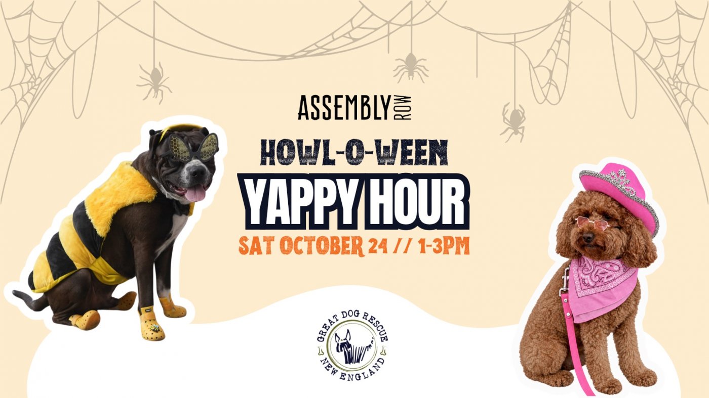 Assembly Rows Howl-O-Ween Yappy Hour, Assembly Row, Somerville, 24 ...