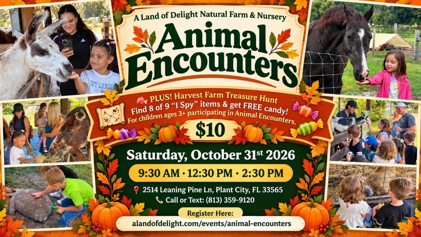Kids’ Animal Encounter + FREE Candy Treasure Hunt | Central Florida ...