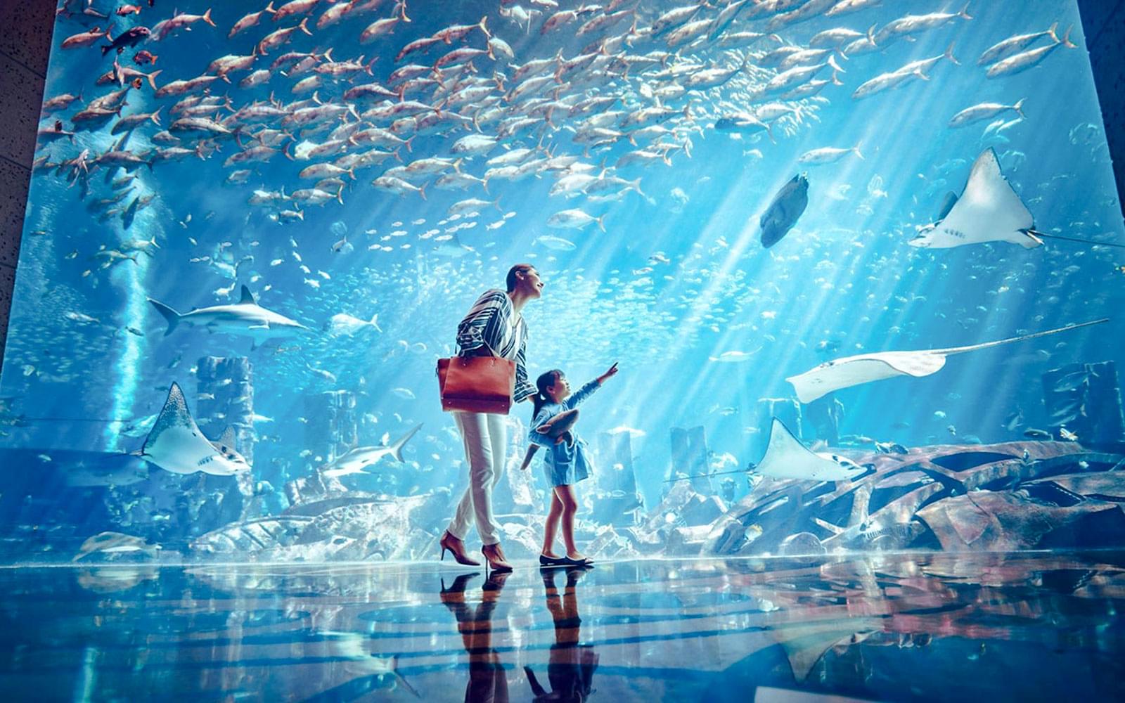 Atlantis Aquaventure Waterpark