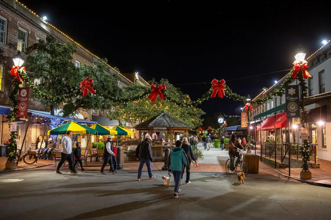 Southern Hospitality: Charm, Spanish Moss, and River Cruises