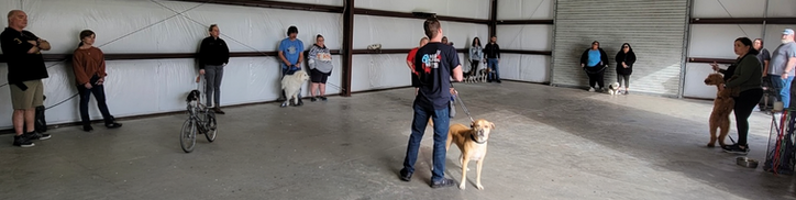 Free Dog training by Elite K9 Service